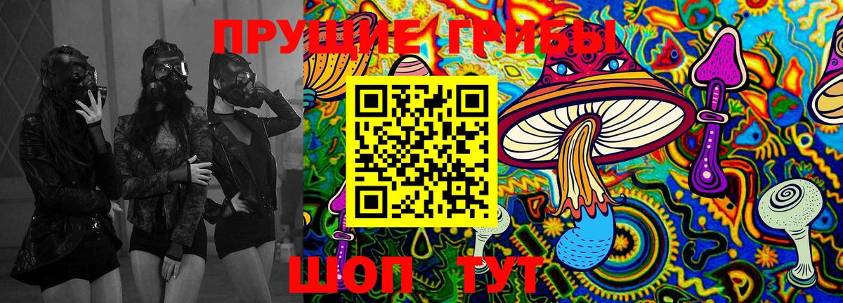 Галлюциногенные грибы Cubensis  Вход с VPN  Улан-Удэ 