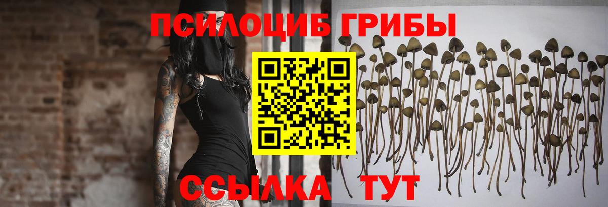Галлюциногенные грибы прущие грибы Улан-Удэ